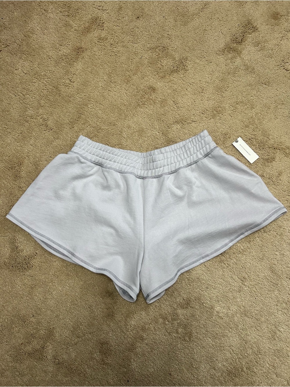 Anthropologie Daily Practice Shirty Cotton Shorts - size XL / NWT